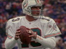 Miami Dolphins