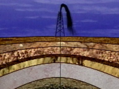 Oil