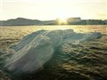 Video Sample