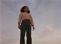 Gonna Fly Now picture