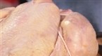 Trussing Poultry