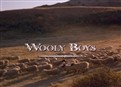 Wooly Boys picture