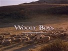 Wooly Boys