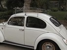 101 Cars You Must Drive: VW Beetle