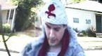 Gorgeous Tiny Chicken Machine Show: Kiko's Doorstep: Knights