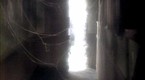 Elvira's Movie Macabre: The House That Screamed (season 1, episode 3)