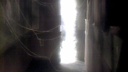The House That Screamed