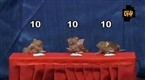 Attack of the Show: Taxidermy Olympics: Gymnastics