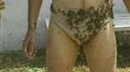 Jackass: Episode 5 (season 1, episode 5)