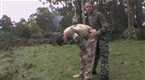 Wildboyz: Kookooburra