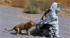 Attacked by Lions