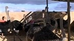 Ostrich Race