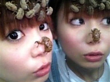 What's up with Japan? Snow, Moustaches, and More!