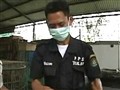 NBC Nightly News with Brian Williams - U.S. Joins Fight Against Black Market in Wildlife