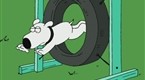 Family Guy: Dog Show