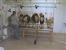 Artisan Cheese On The Farm