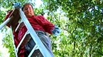 Cooking Up A Story: Urban Fruit Gleaning (season 1, episode 10)