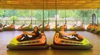 Banzai: A Very Interesting Bumper Car Question