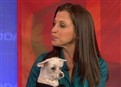 Author Takes You Inside ‘Dog’s World’ picture