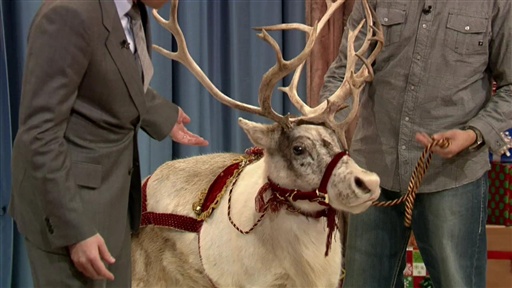 Jeff Musial's Animals, Part 2: Dec 16, 2...