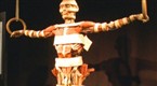 Taboo Skinless Human Cadavers