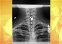 Saints Fan Swallows Emblematic Earring picture