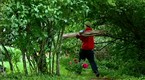 Cooking Up A Story: Organic Foods: Backyard Agriculture