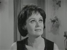 Alfred Hitchcock Hour | Season 3 Episode 24 | Power of Attorney