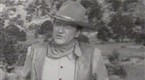 Historic Campaign Ads: "John Wayne" Reagan, 1966