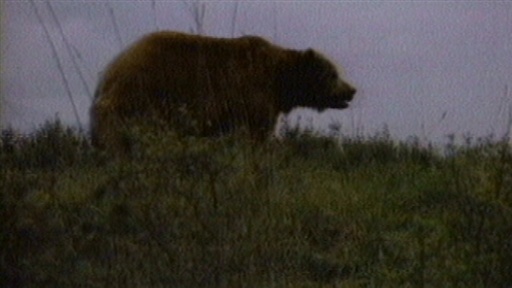 "The Bear" Reagan, 1984 Video