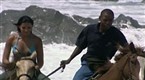 Wild On: Horse Play