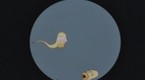 Homer's Sperm Sample