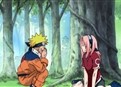 The Forest of Chakra picture