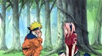 Naruto: The Forest of Chakra (season 1, episode 10)