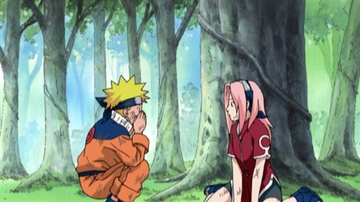 The Forest of Chakra