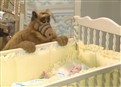 Baby Love picture