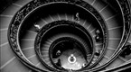 National Geographic News: My Shot Minute: Pattern Recognition