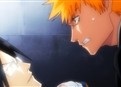 Bleach 12 picture