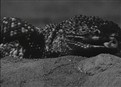 The Giant Gila Monster