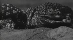 The Giant Gila Monster