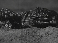 The Giant Gila Monster