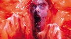 The Blob