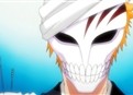 Bleach 19 picture