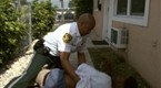 Cops: What: Who Me (season 21, episode 7)