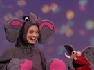 The Princess & The Elephant