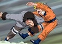 Akamaru Unleashed! Who's Top Dog Now? picture
