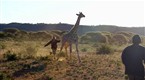In Harm's Way: Live Animal Rescue (season 1, episode 3)