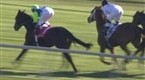 The Finish Line: Breeders' Cup 2008 Part 2