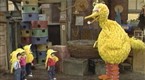 Sesame Street: You Can Be a Birdketeer