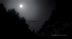 Mushi-shi: One-Night Bridge (season 1, episode 13)